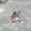 Matilda: kleiner Sonnenschein sucht DICH