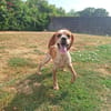 LIBY