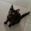 BLACKY