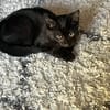 BLACKY