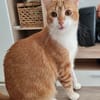 Wanja sucht dich