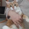Wanja sucht dich