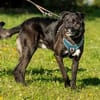 aktiver OREO sucht erfahrene Menschen