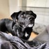 aktiver OREO sucht erfahrene Menschen