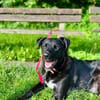 aktiver OREO sucht erfahrene Menschen