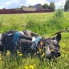 aktiver OREO sucht erfahrene Menschen