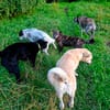 Unsere Tessi 2.Chance-1. Glück
