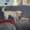 Nelly - super lieb und freundlich