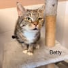 BETTY