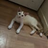 Bill