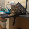 Catimini