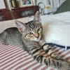 Billy