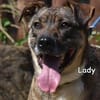 LADY