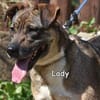 LADY