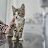 Kya & Koyo suchen gemeinsam ein Zuhause