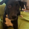 Sportskanone- Maya