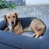 Petty ein Engel auf Erden