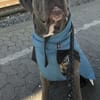 Ayla