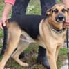 Jaco - einfach nur lieb