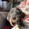 Marnie