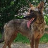 Cara hatte bisher ein schlimmes Leben