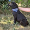 Jasper -Kleiner Entdecker sucht liebevolles Zuhause!