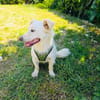 Kokonimix Theo sucht Zuhause