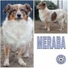 MERABA * sanfte ausgeglichene Lady