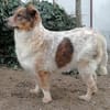 MERABA * sanfte ausgeglichene Lady
