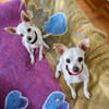 Bella - Chihuahua Seniorin sucht