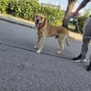 Mailo - Notfall: wartet in 92342 Freystadt