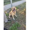 Mailo - Notfall: wartet in 92342 Freystadt