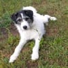 Sanfte Nele🌺 sucht liebevolles Zuhause