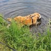 Süße Bessy🌺 sucht relaxtes Zuhause