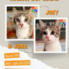 Juna u. Joey