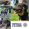 YETINA * Vertrauen wächst, Besonderes entsteht