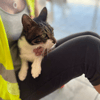 Tiny