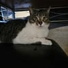 Die Brüder Tito und Toto Fiv+, unser DreamTeam