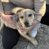 Holly ist bereit für ihr neues Leben
