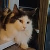 Traumhafte Fraya sucht Traumzuhause