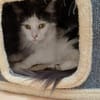 Traumhafte Fraya sucht Traumzuhause