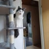Traumhafte Fraya sucht Traumzuhause
