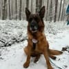 Mila sucht ihre Menschen
