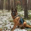 Mila sucht ihre Menschen