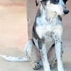 Aiden -schüchtern und freundlich-