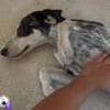 Aiden -schüchtern und freundlich-