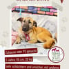 Bambu sucht ein Zuhause / Pflegestelle