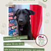 Nero sucht ein Zuhause / Pflegestelle