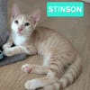 STINSON ET MOSBY À ADOPTER ENSEMBLE