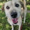 SOFY * freudig hopsend ab ins Herz